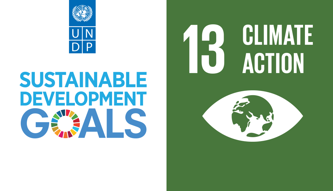 UNDP Sustainable Development Goal no 13 climate action banner